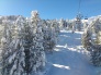 1. Dezember 2012 frisch verschneiter Arvengarten